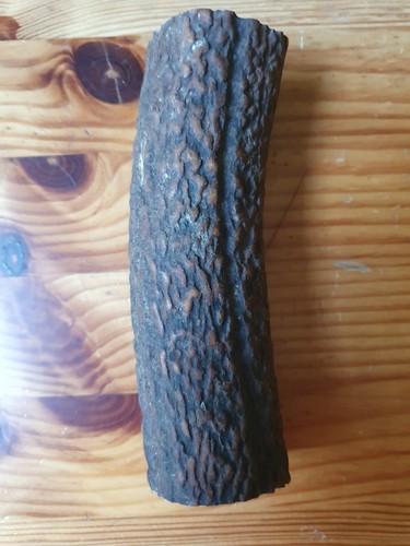 Geweihteile geweihrollen - geweihteile,