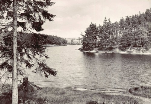 Postkarte neudorf harz - postkarte,