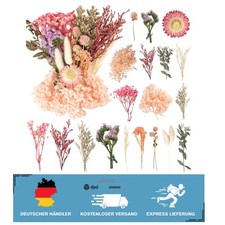 Vielseitiges Trockenblumen Set - Ideal für Heimdekoration und kreative Geschenke