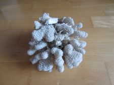 Große echte weiße Stein