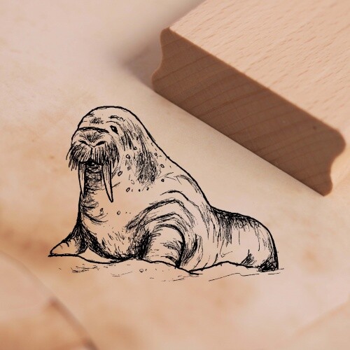 Motivstempel walross stempel - motivstempel,