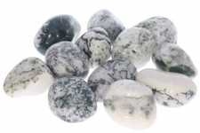  Baumachat Achat Trommelsteine