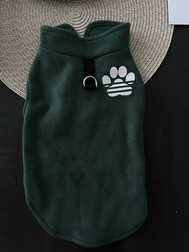 Hund anzug grün - anzug, klein