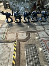 Space Marine - Scout Trupp-