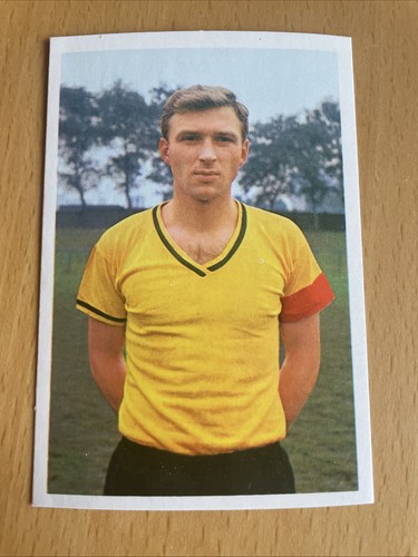 Bergmann sportbild 1968 - bergmann,