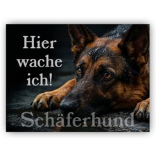 Deutscher Schäferhund
