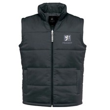 Peugeot Auto Logo   Bestickte