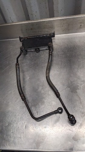 Benelli bn125 - benelli,