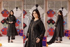 Pakistanische Indische