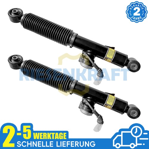 Stoßdämpfer hinten - 2x,