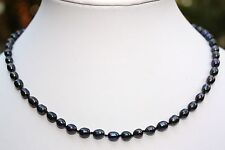 A24S 50cm schwarz  Süßwasser