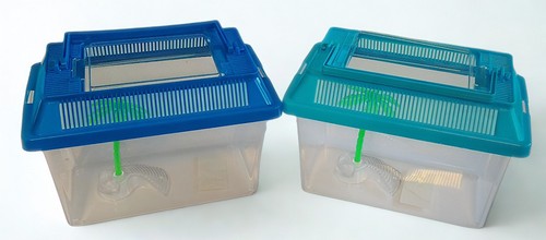Aufbewahrungsboxen - 2,