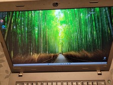 Lenovo ThinkPad L460, Windows
