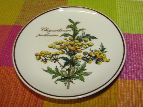 Villeroy boch botanica - &,