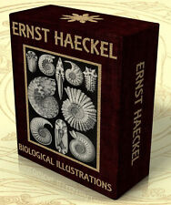 KUNSTFORMEN DER NATUR + other works, Ernst Haeckel 307 Color Art plates DVD-Rom