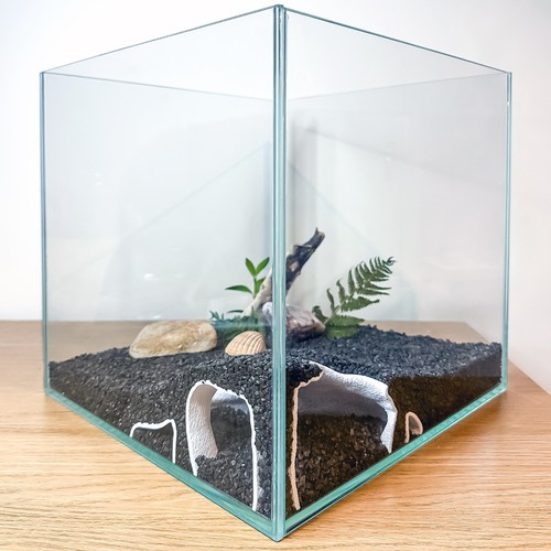 Pleco höhle ecke - ecke, aquarium