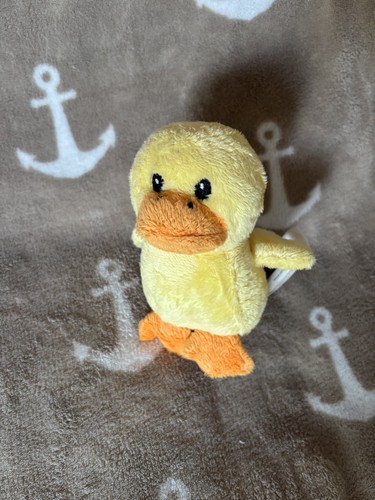 Home creation ente cm - creation, 15
