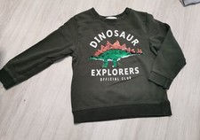 H&M Wendepailetten Pullover Junge Jungs Dino Dinosaurier 110 116 