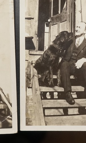 Foto portrait kaufmann - portrait,