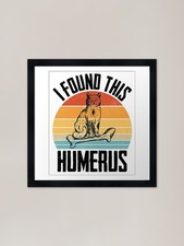 I found this Humerus Cat