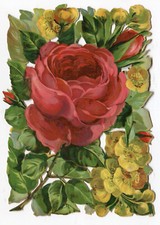 Oblaten scrap die cut chromo  Blumen Rose groß  16,6 cm