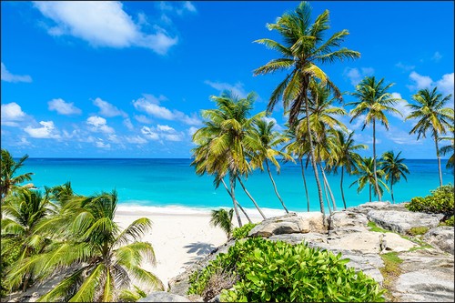 Verschiedene meer motive vlies - verschiedene,