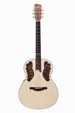 Elektro Akustik Gitarre