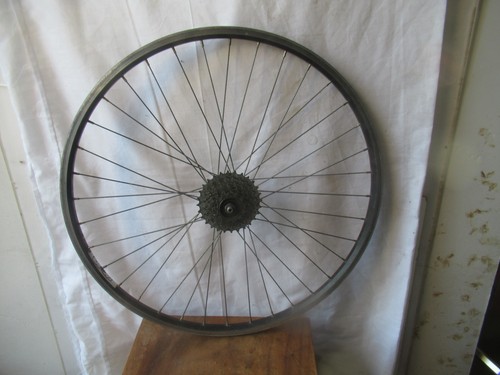 Zac hinter laufrad fahrrad - zac, 19
