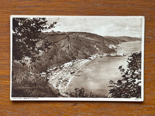Vintage postkarte oddicombe - vintage,