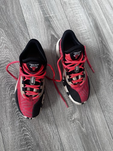 Chicago bulls sneaker - bulls,