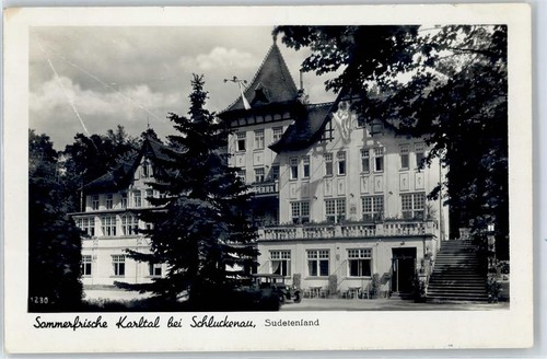 51156659 sluknov restaurant - 51156659,