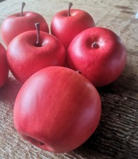5 x Äpfel grün Attrappen