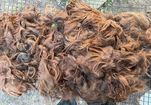 Suri lama vlies rohwolle - suri, 340g
