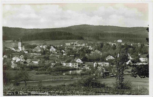 Hals tachau tachov - hals, cz