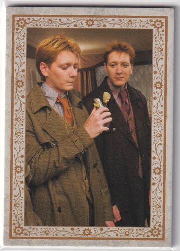 Panini harry potter evolution - panini,