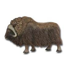Collecta 88837 moschusochse - 88837, 12