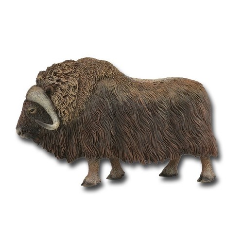 Collecta 88837 moschusochse - collecta,