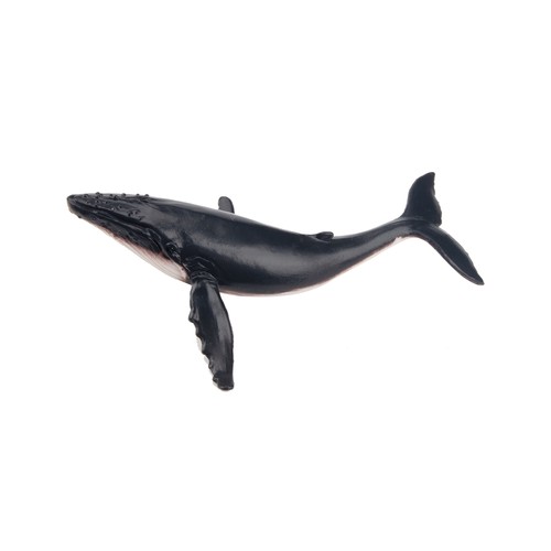 Toymany ml00256 buckelwal 6 - buckelwal, 7,6