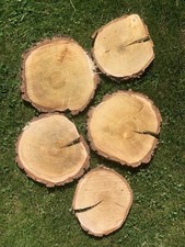 Dekoscheiben Holz (Birke) ca. 15-22 cm