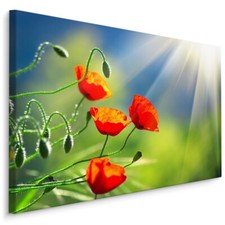 Leinwand Bild CANVAS WANDBILD