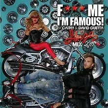 F*** Me I'm Famous 2011 von