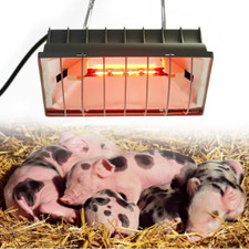 Rotlichtlampe Infrarot-Lampe