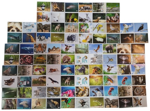 Rewe wilde helden sticker - 92,