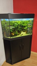 Eckaquarium Juwel 130L in schwarz