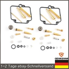 Vergaser reparatursatz - 2x,