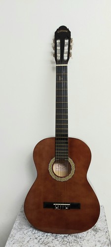 Akustik gitarre giant - akustik, c.