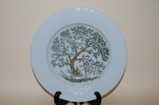 Suppenteller 23,5cm Scala Paradiso Hutschenreuther