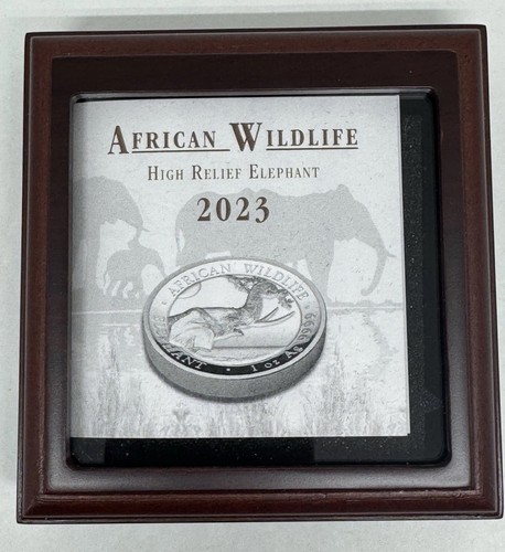 2023 somalia wildlife elefant - somalia,