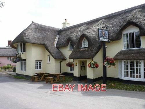 Foto the royal - the, oak