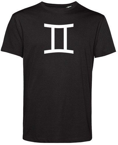 Bio shirt zwillinge - bio-shirt:,
